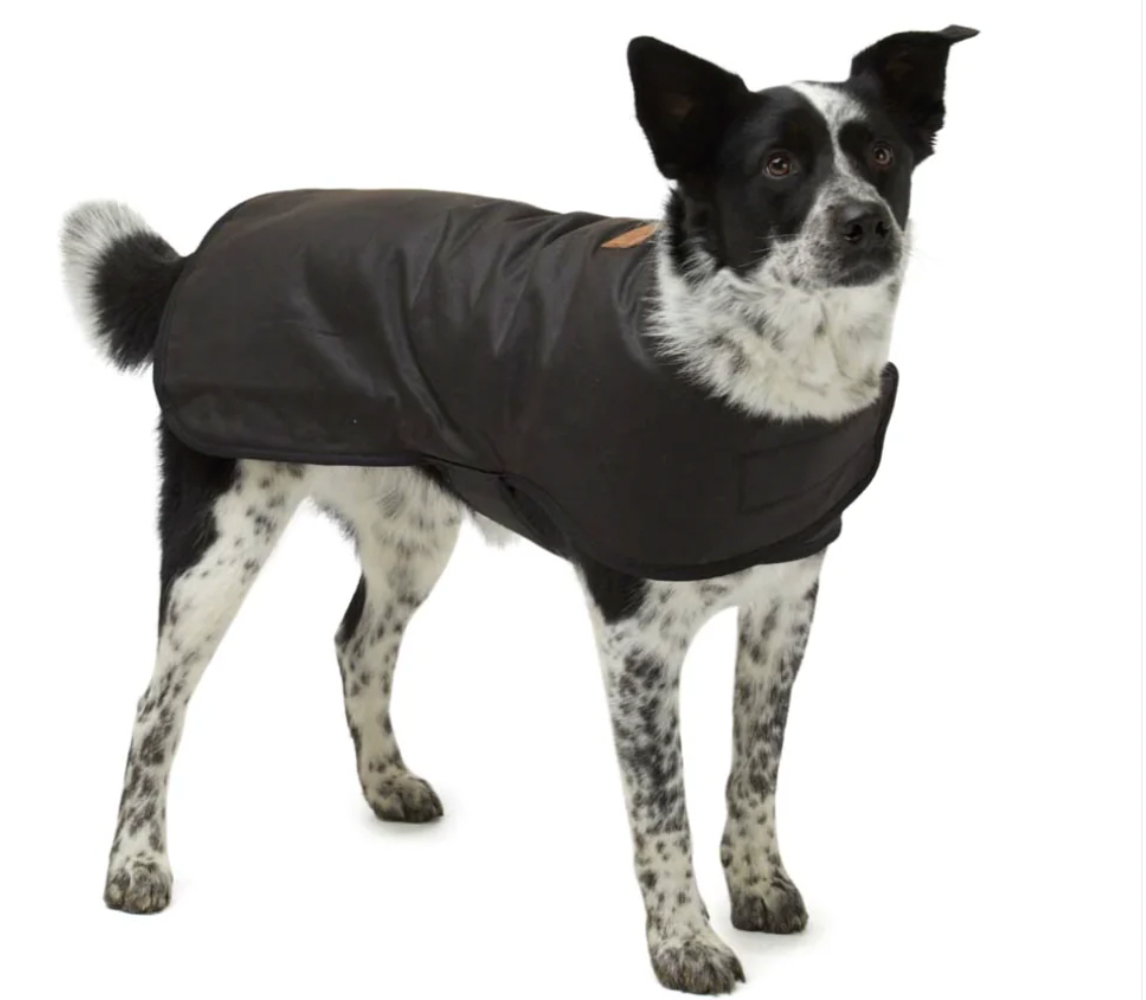 Oilskin and Woolen Dog Coat